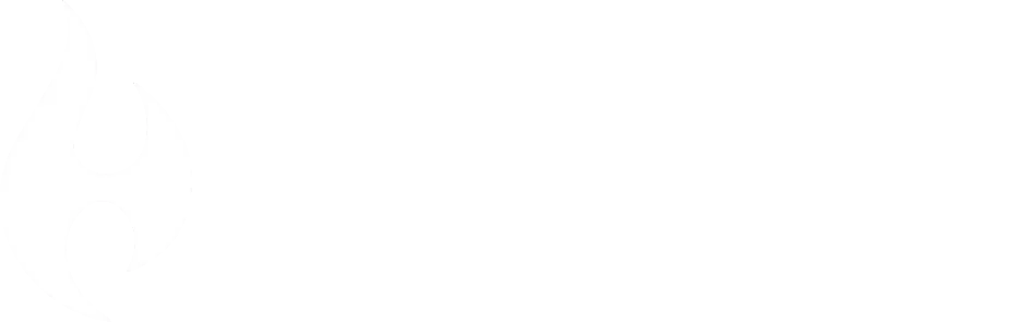  HIFANCY VAPE GERMANY