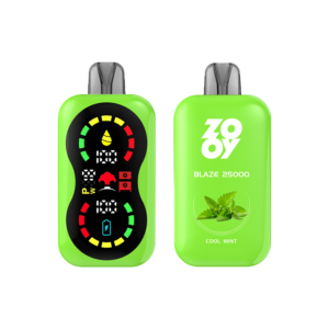 ZOOY BLAZE 25000 DISPOSABLE VAPE Blue Mint - HIFANCY VAPOR